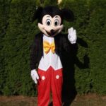 Fotografie 1. Pohádkový kostým Mickey Mouse